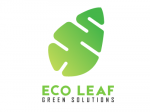 Eco leaf logo dizajn