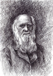 Portret Carsla Darvi