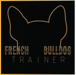 French bulldog train