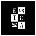 Enigma logo design