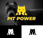PIT POWER 2