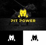 PIT POWER 3